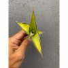969. Sansevieria Lavranos Aurea Variegated